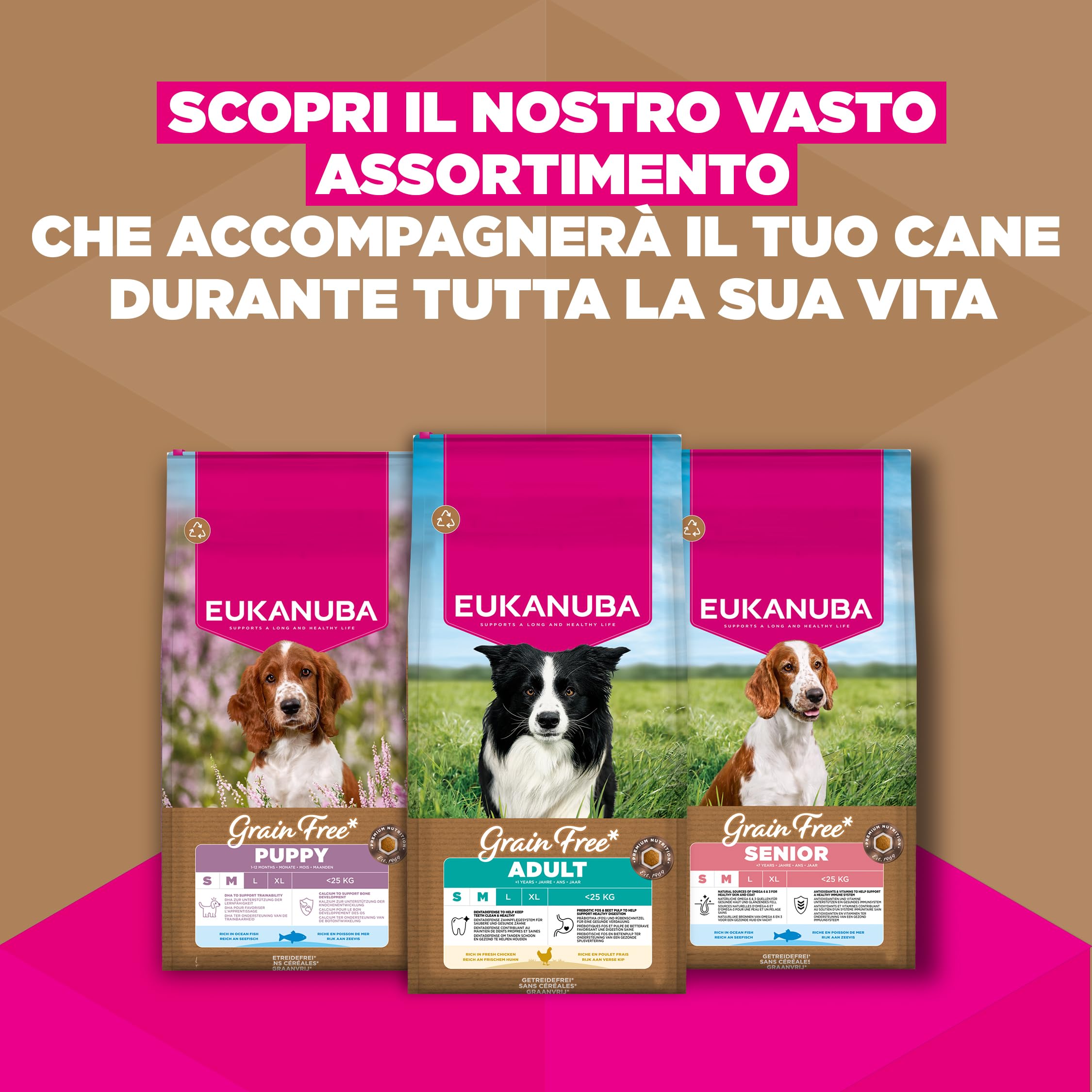 EUKANUBA Cibo secco per Cani senza cereali con pollo fresco per razze di taglia piccola e media - Alimento secco premium privo di cereali per Cani adulti, 12 kg