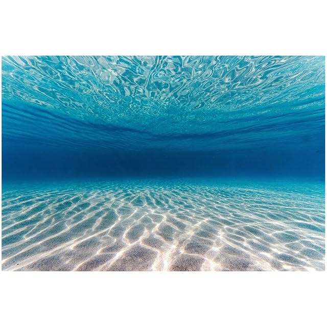Didooou Fondo autoadhesivo para decoración de acuario subacuático, paisajismo natural, fondo de pecera