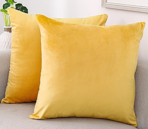 Vista 55 de NiNi ALL Fundas de almohada decorativas de terciopelo suaves para sofá, dormitorio, sala de estar, exteriores, paquete de 2 unidades, 18 x 18 Aqua