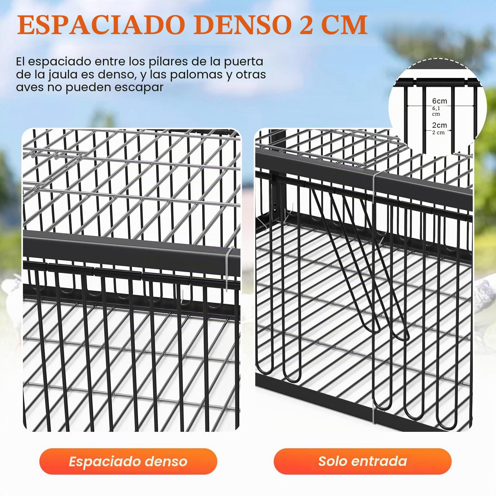 Jaula para palomas, 60 cm, para recoger codornices (negro)