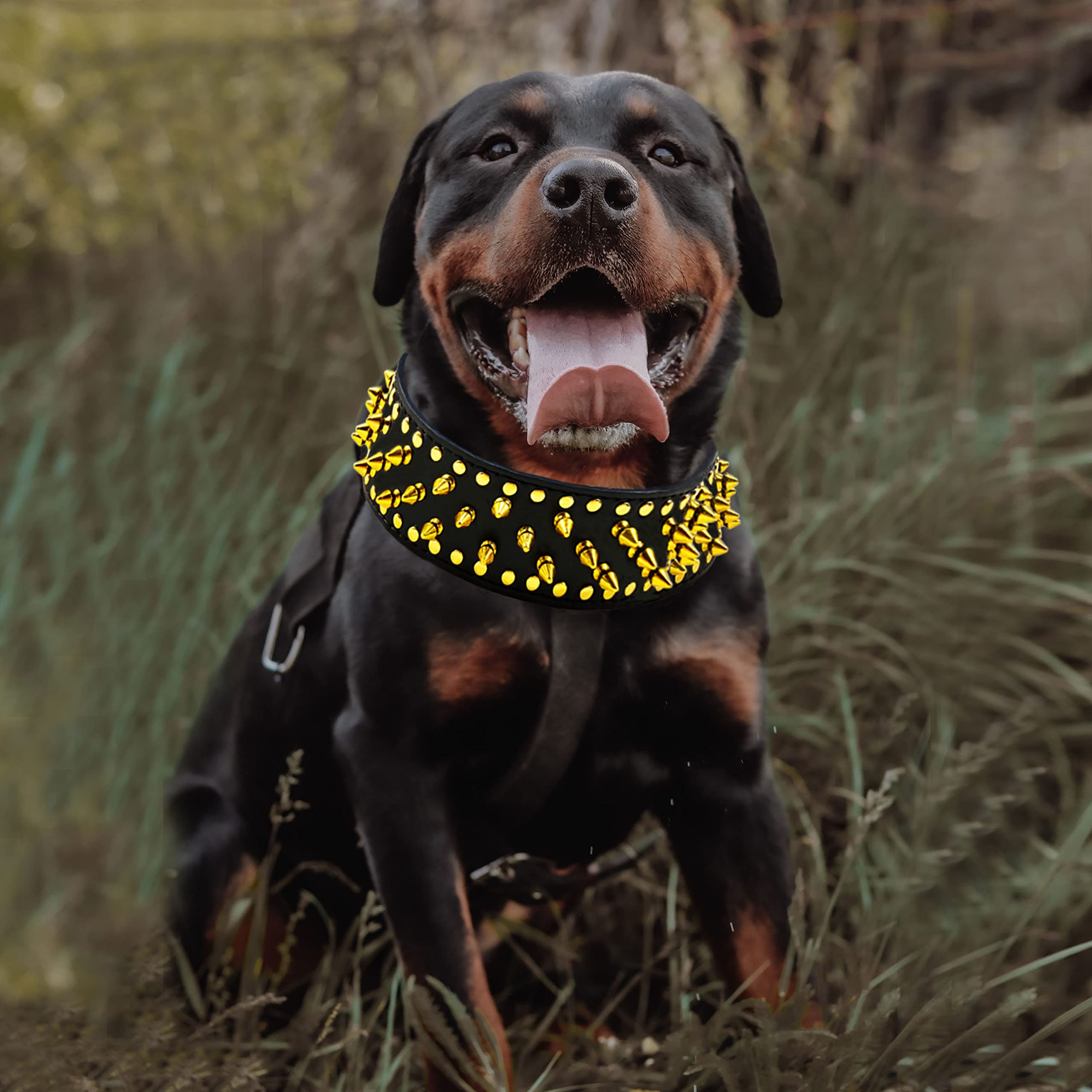 Stainless Steel Dog Choke Chain Collar, Puppy Metal P Chain Slip Collar  Snake Chain, Pet Show Slip Collar Choker For Training Walking For Small  Medium