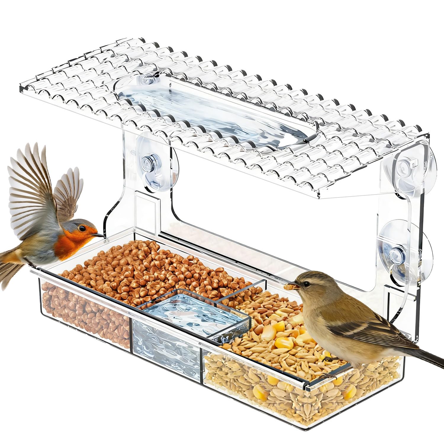 Mangeoire fenêtre Transparente Vue Claire pour Petits Oiseaux Sauvages, Ventouses puissantes