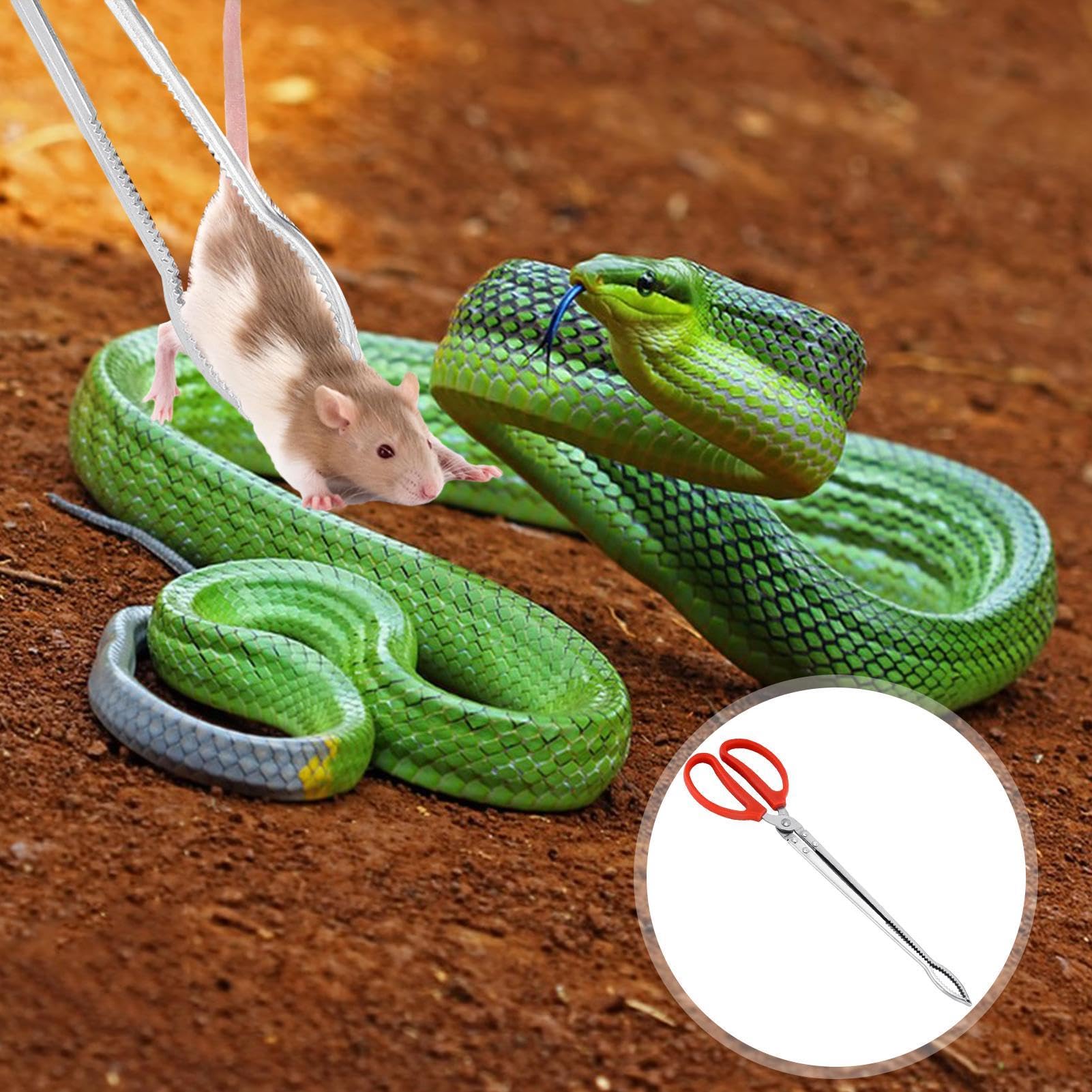 Système D'alimentation Pour Abeilles, Bol En P... - Grandado