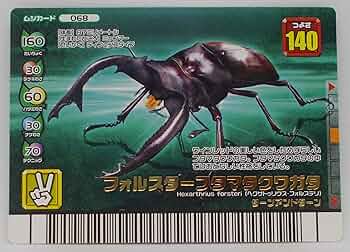Amazon.co.jp: 【068-フォレストグリーン】フォルスターフタマタ