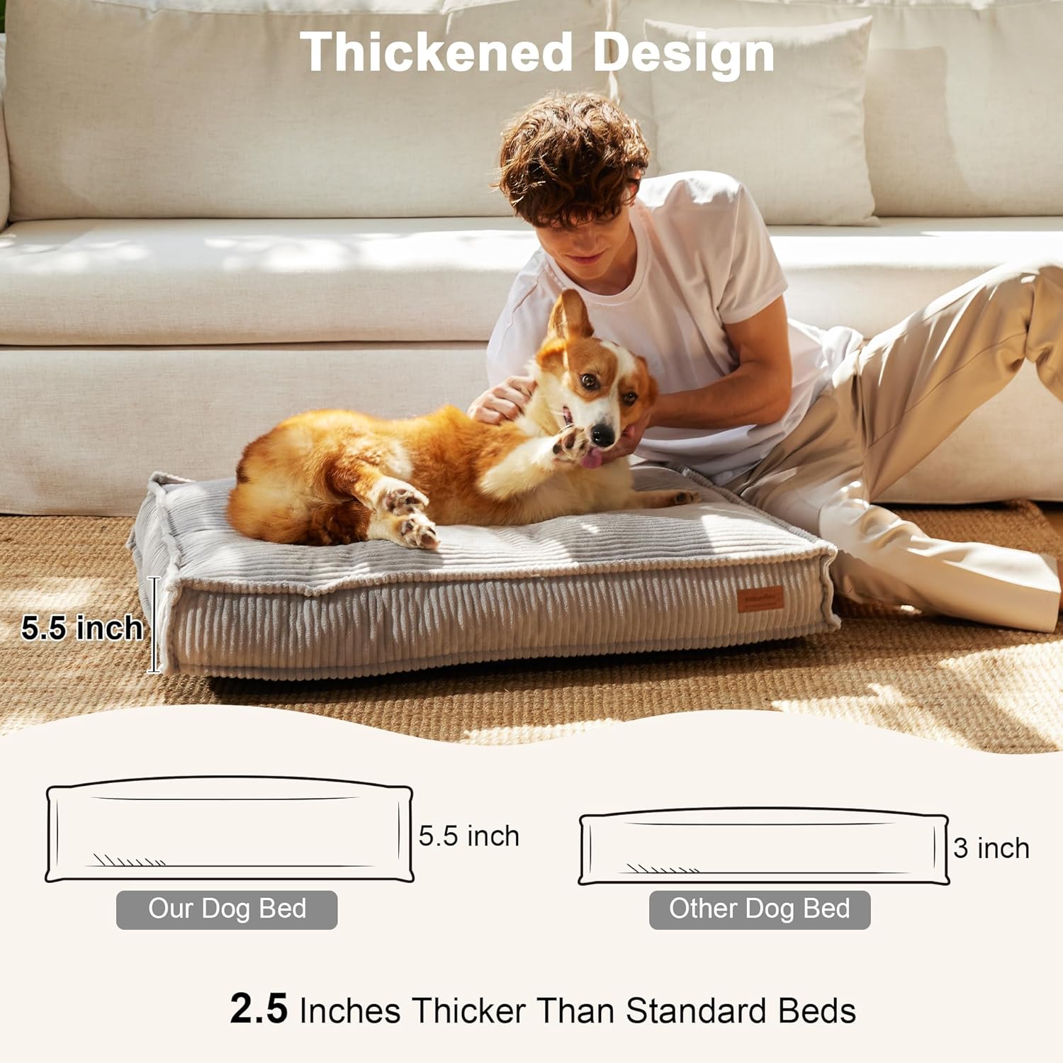 Ultimate Comfort: FUKUMARU Dog Bed Review for Happy Pups!