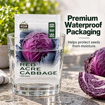 250 Red Cabbage Seeds for Planting - Heirloom, Red Acre