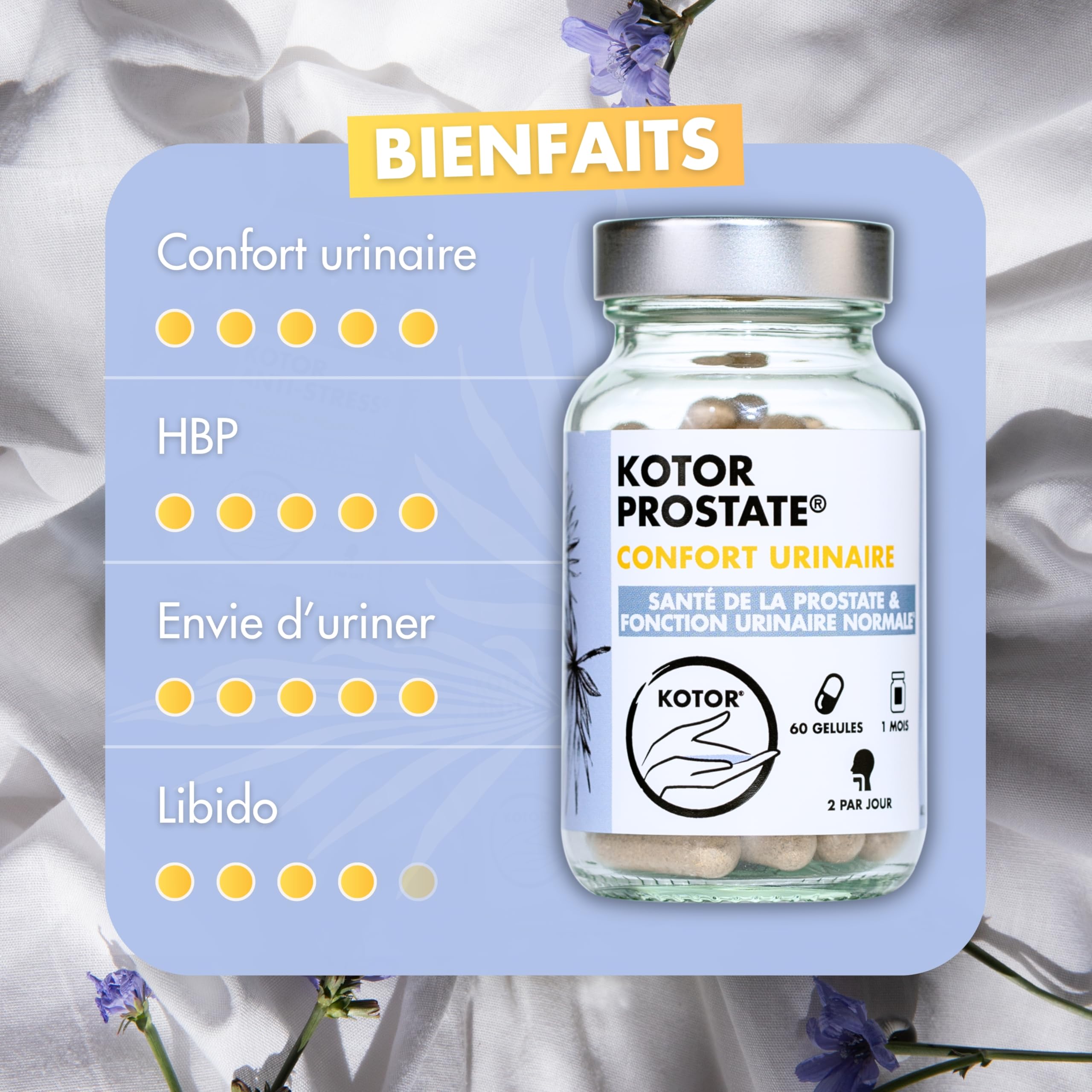 KOTOR PROSTATE | Troubles Urinaires, HBP, Envie Fréquente d’Uriner | Complexe Naturel & Français | Ortie Piquante + Palmier Nain + Prunier d’Afrique | 60 Gélules | 1 Mois