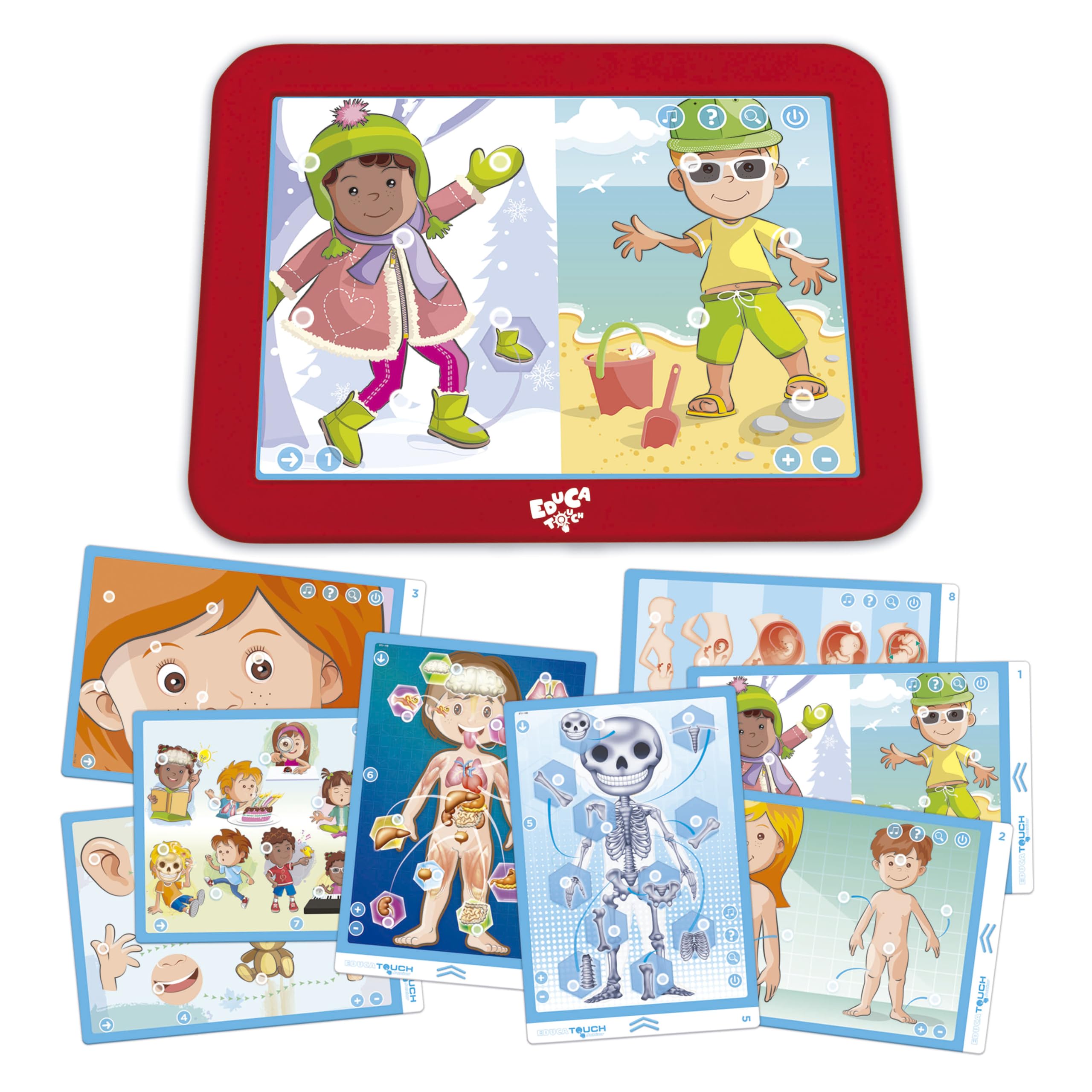 Puzzle Magnetico del Corpo Umano, Gioco Educativo HAPE - E1652