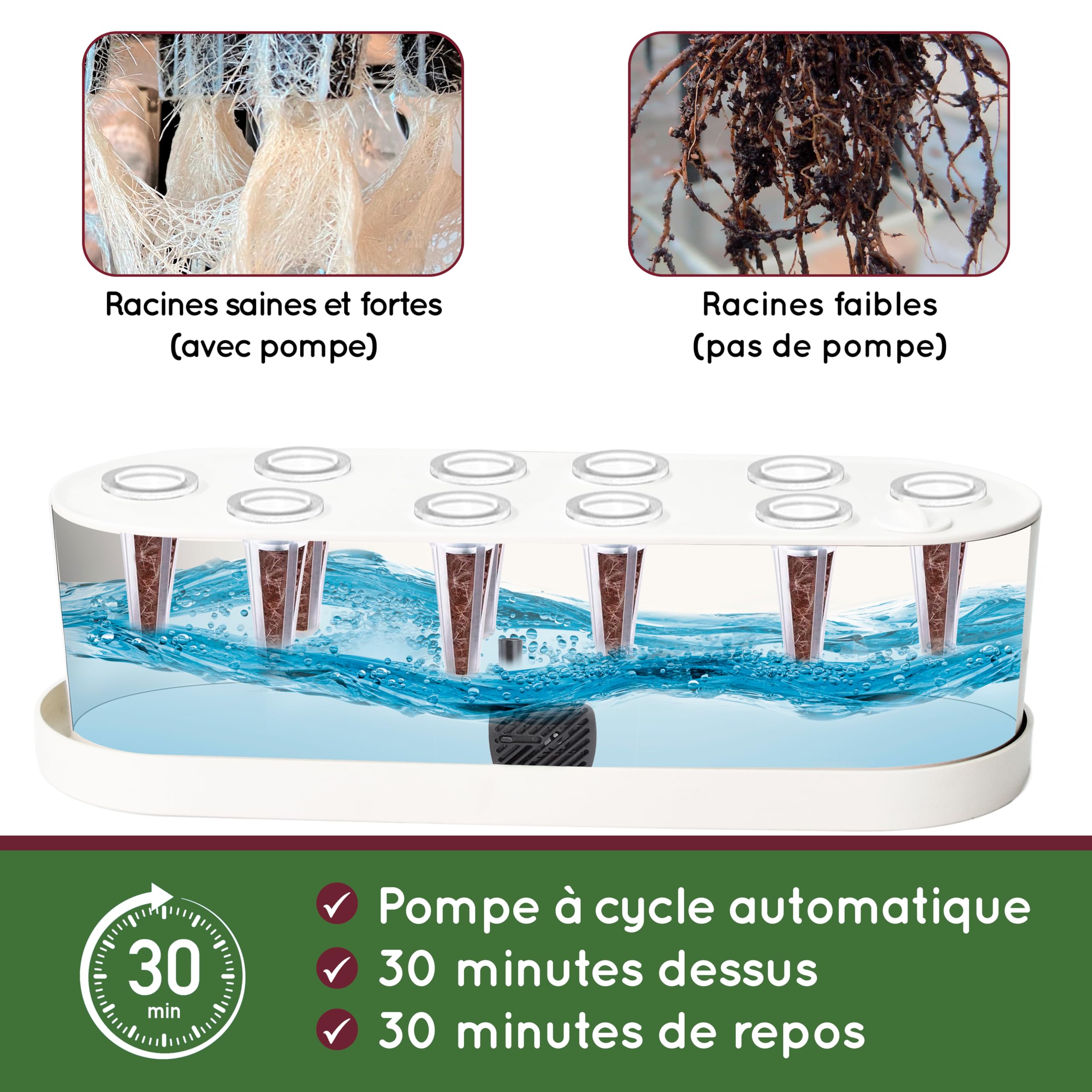 Potager d'intérieur Hydroponique - Pret a Pousser Smart Garden - Kit de culture de jardin intelligent avec éclairage LED, minuterie automatique et pompe à eau - Capacité pour 10 pousses simultanées