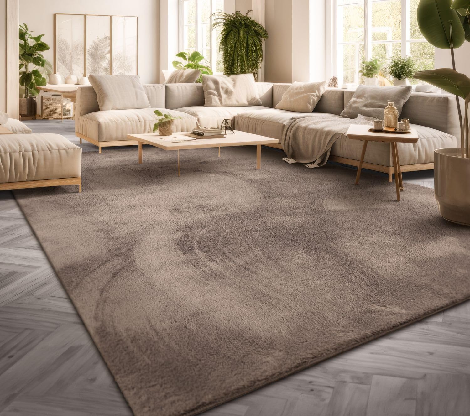 TT Home Large Rug Short Pile Monochrome Modern Design Washable, colour:Taupe, Size:80x150 cm