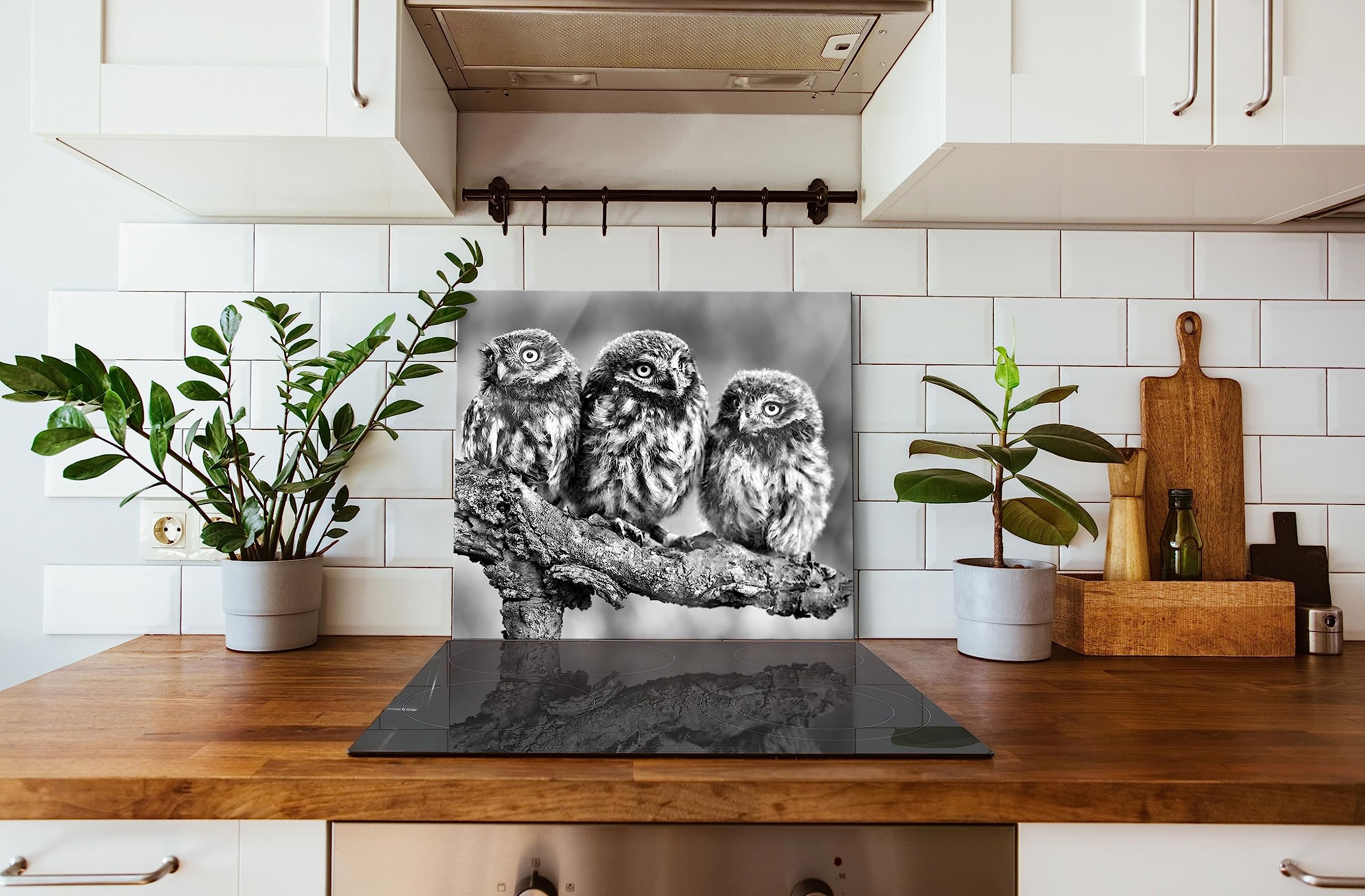 Drei Eulen auf Ast Herdabdeckplatte & Spritzschutz aus Echtglas | Für Herd-Kochfelder | 60x52 cm