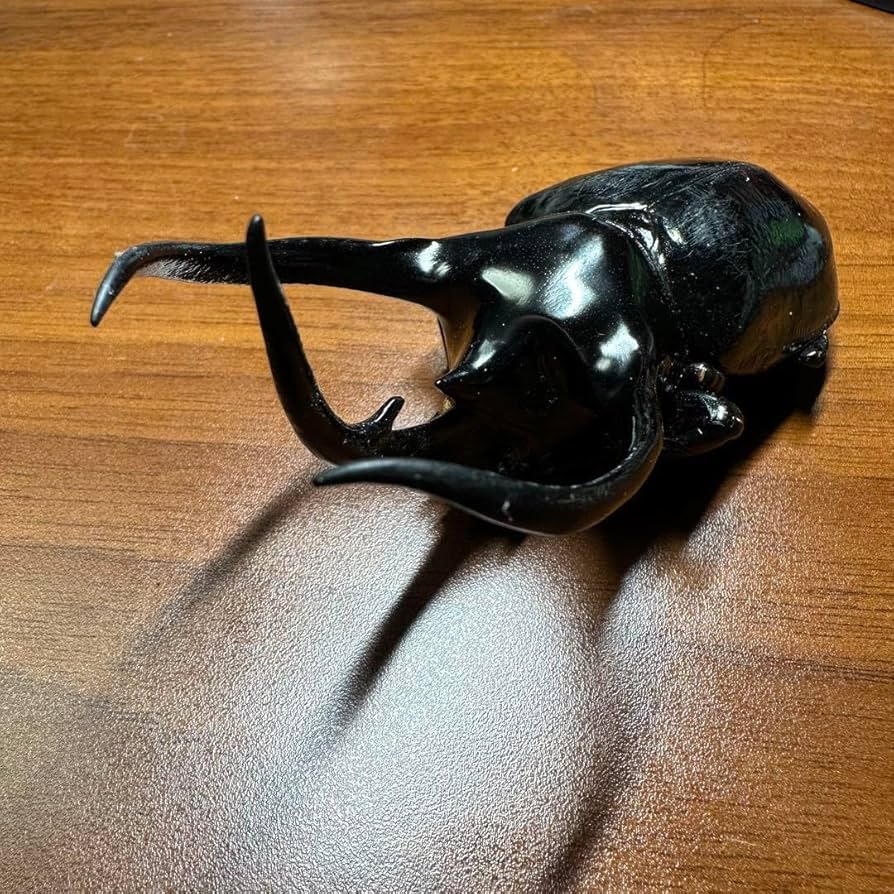 Amazon.co.jp: 標本ベトナム産コーカサスオオカブト : おもちゃ