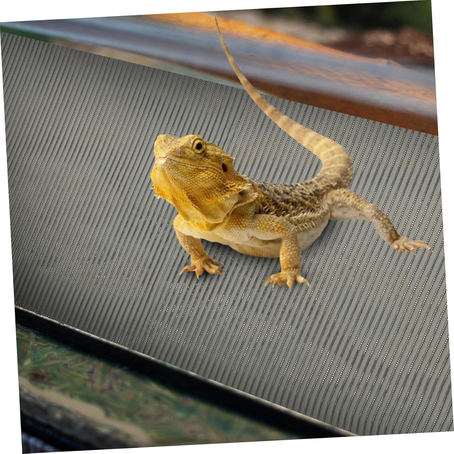 Kisangel Waterproof Reptile Carpet Liner 3-in-1 Moisture Retaining Bedding for Tortoises Snakes and Lizards Sturdy Polyester Terrarium Mat for Reptile Tanks and Habitats