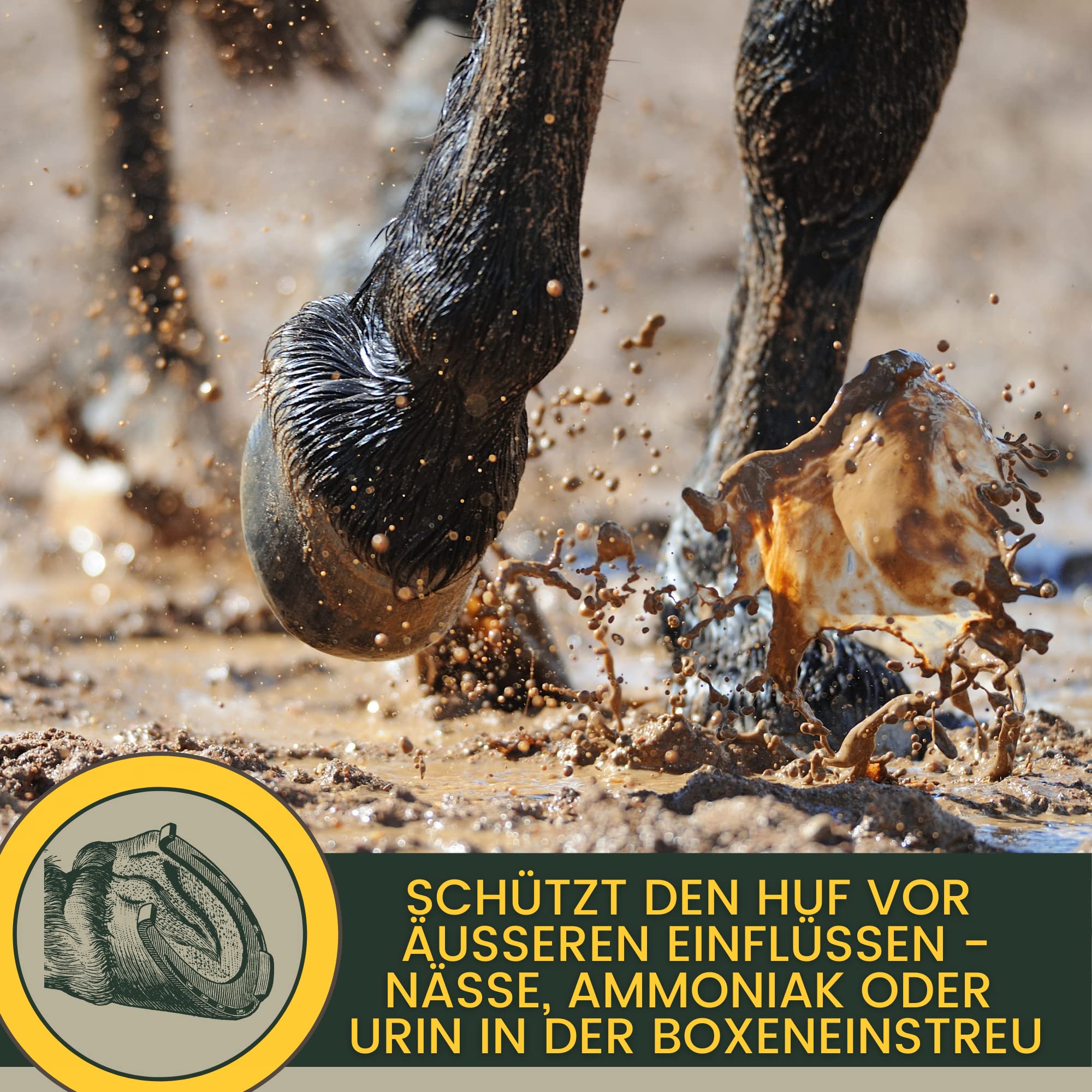 Soin de la fourchette pour chevaux I Protection de la fourchette Soin du sabot I Sabot, fourchette, semelle I Gel de fourchette I Prévention de la pourriture de la fourchette I contre l'humidité 100ml
