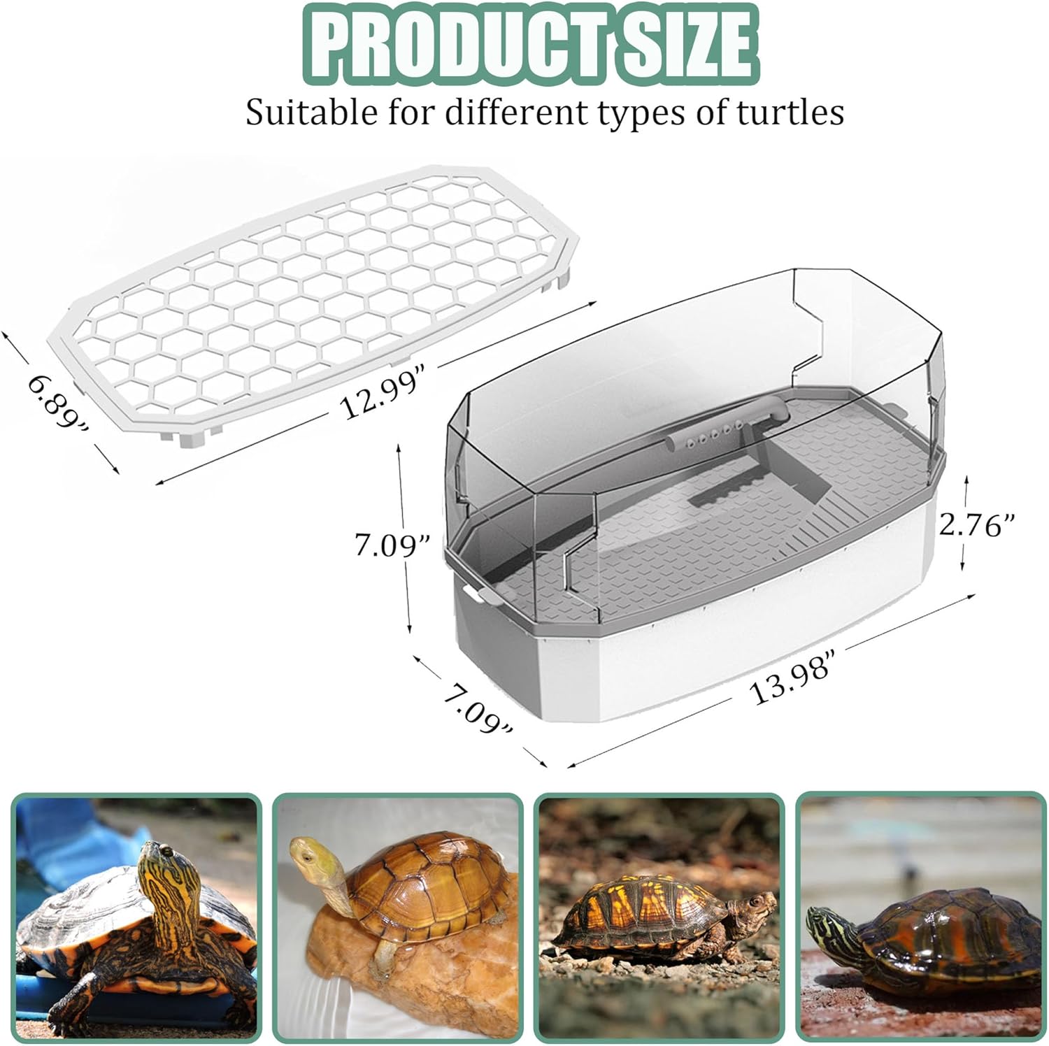 Exo Terra Terrarium Small Turtle Tank Kit Tank+Light+Filter