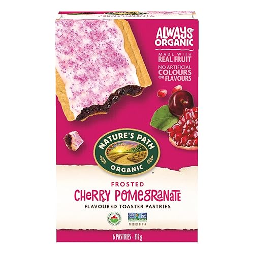 Nature's Path Organic Frosted Cherry Pomegranate Toaster Pastries, 312 g (Pack of 1), Non-GMO