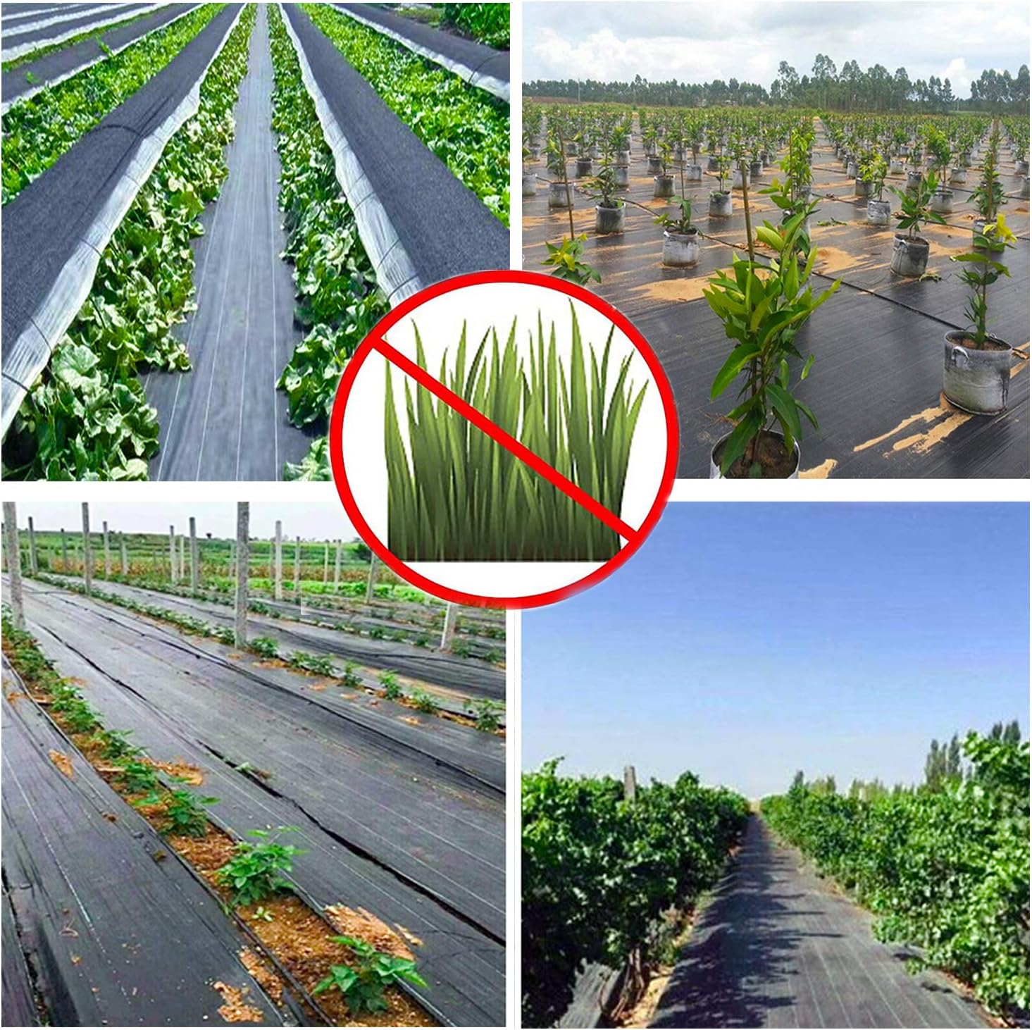 BOTINDO 5oz 3ft x 100ft Weed Barrier Landscape Fabric, Pro Garden Premium Heavy Duty Block Gardening Mat, Dual Layer Fabric Ground Cove Lawn Cloth, Weed Control for Landscaping Outdoor Driveway, Black