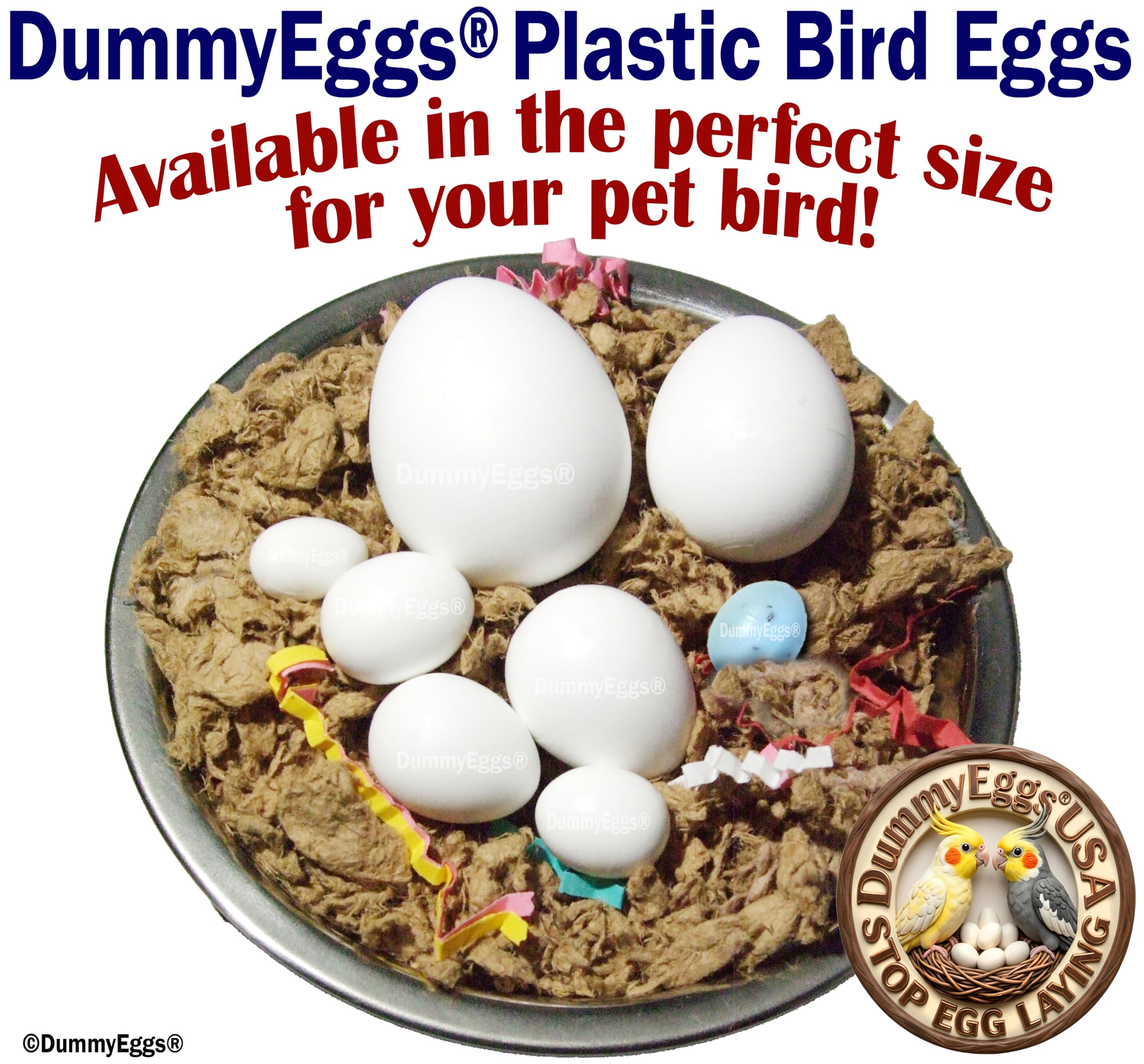 Dia Dove DE Brand USA - Huevos falsos de plástico sólido, 7 huevos falsos de periquito, loro, Dia Dove DE Brand USA