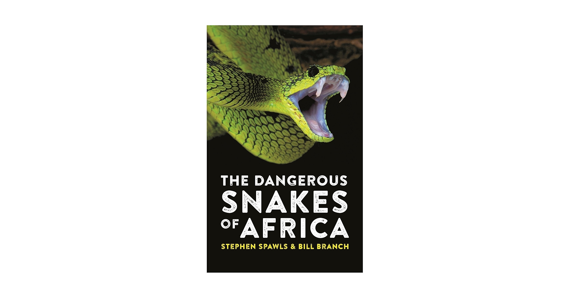 The Dangerous Snakes of Africa: Spawls, Stephen, Branch