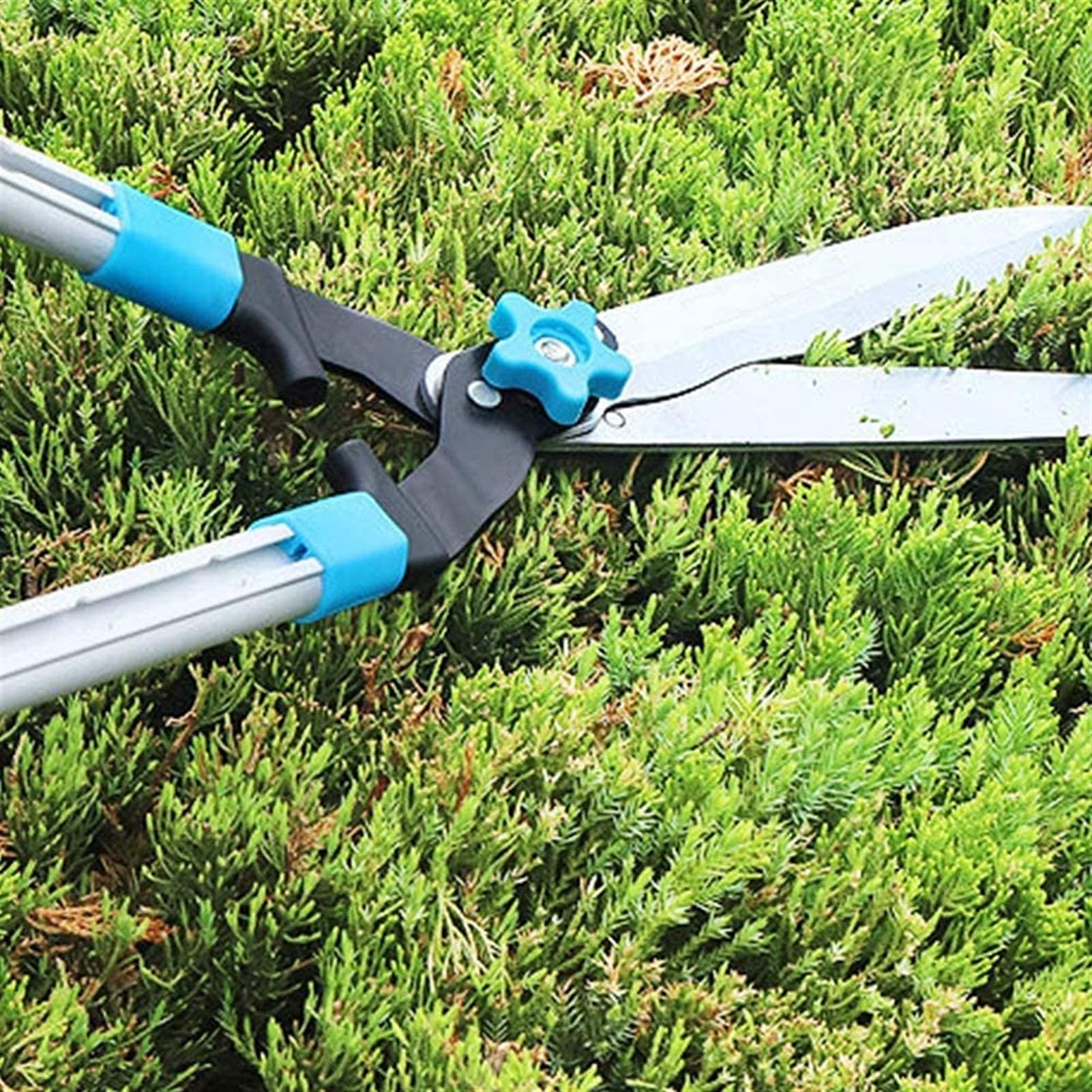 Cesoie per potatura di Alberi da frutto con Lame Ondulate Cesoie da Giardinaggio Salva-Lavoro Forbici telescopiche per Rami Spessi