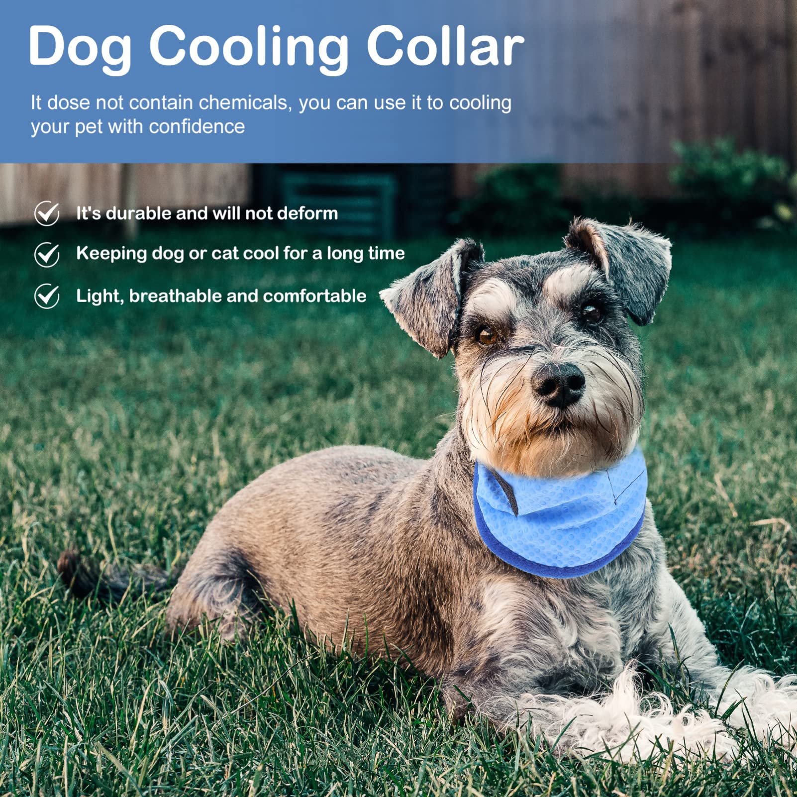 Beavorty 4stücke Pet Kühlbandana Für Hunde Atmungsaktives Kühlhalsband Leichtes Und Hautfreundliches Zubehör Für Und Im Sommer Mit Punkten
