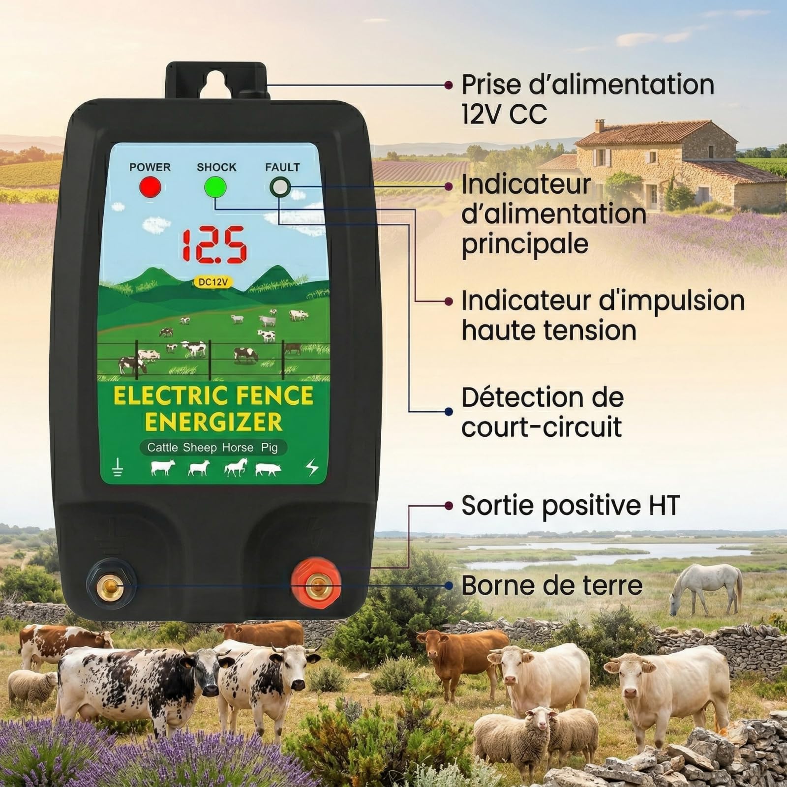 Dispositivo di recinzione elettrica 12 V con display a LED, portata 10 km, 2 Joule, 12 kV, per la protezione di animali da fattoria, pollame, pascoli e giardini (nero)