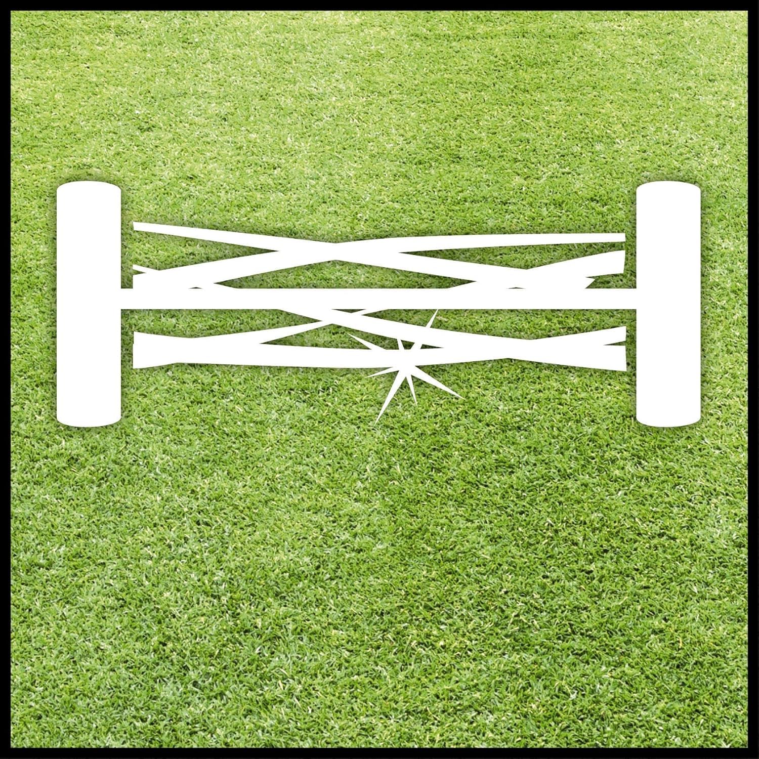 Einhell Tagliaerba a spinta GC-HM 300 (largh. Taglio 30 cm, regolazione altezza taglio su 4-livelli di 13-37 mm, vano raccolta 16 l, 5 rulli elicoidali, consigliato per prati fino a 150mq)
