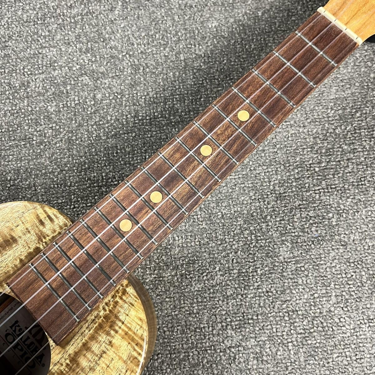 Amazon.co.jp: KoAloha Opio KSO-02 GTgear ソプラノウクレレ/ロング 