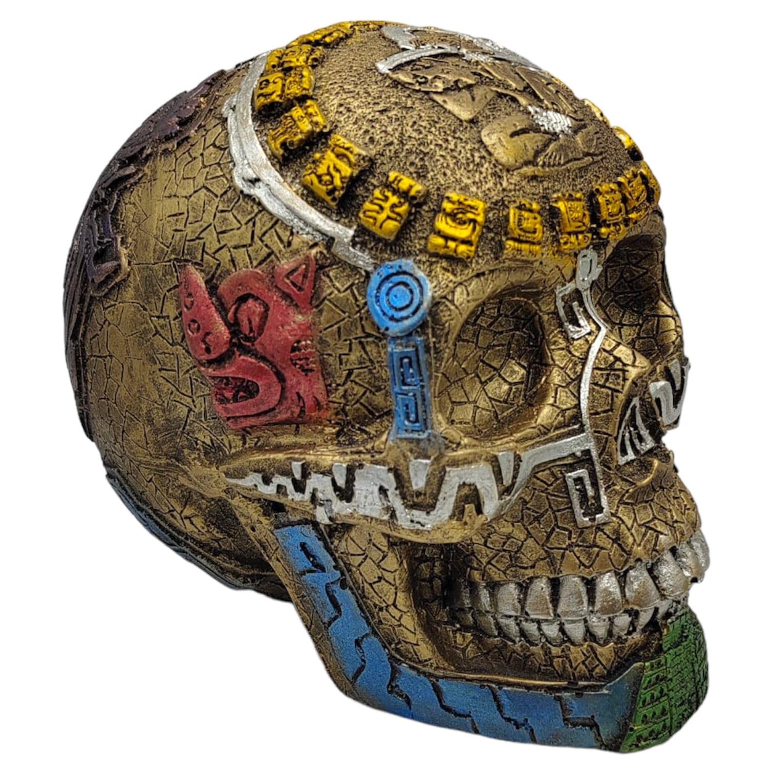 Amazon.com: Decorative Skull with Variety of Designs (Mayan 