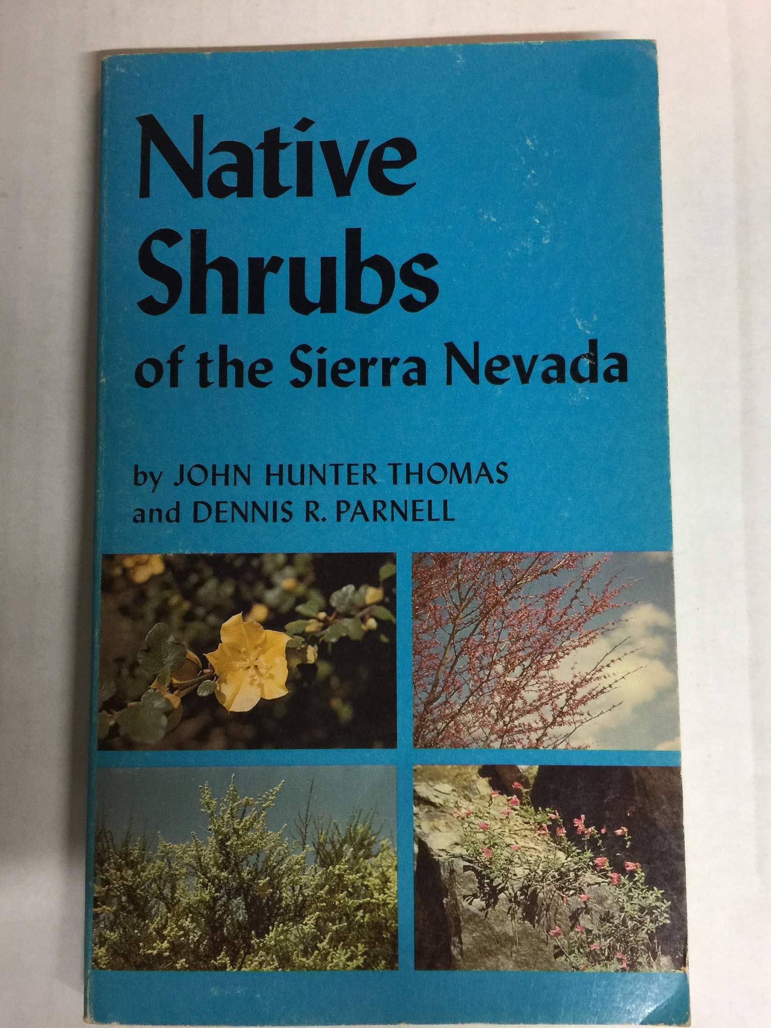 Thomas: Shrubs Of Sierra Nevada (pr Only): v. 34 (California Natural History Guides)