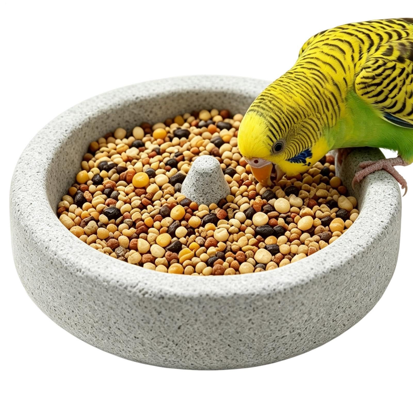 Parrot Food Bowls - Wear Resistant Pumice Stone Dish Station Volcani
