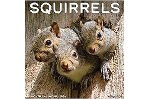 2023 Wall Calendar featuring Squirrels at Play