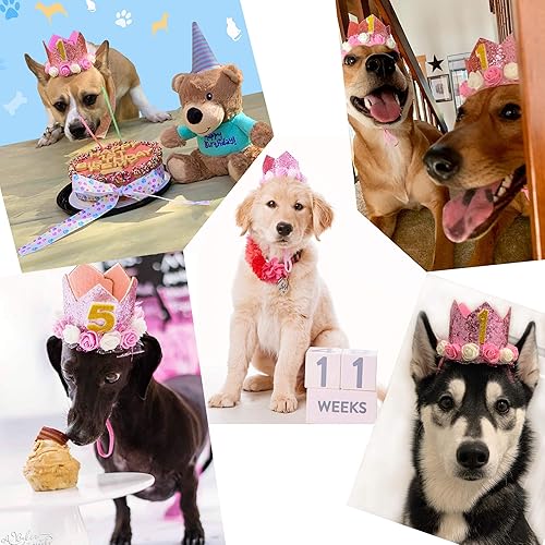 Miniatura 5 de POSAPET Sombrero de corona de cumpleaños para perro, reutilizable, para fiesta de cumpleaños para mascotas, sombreros con corona con purpurina para