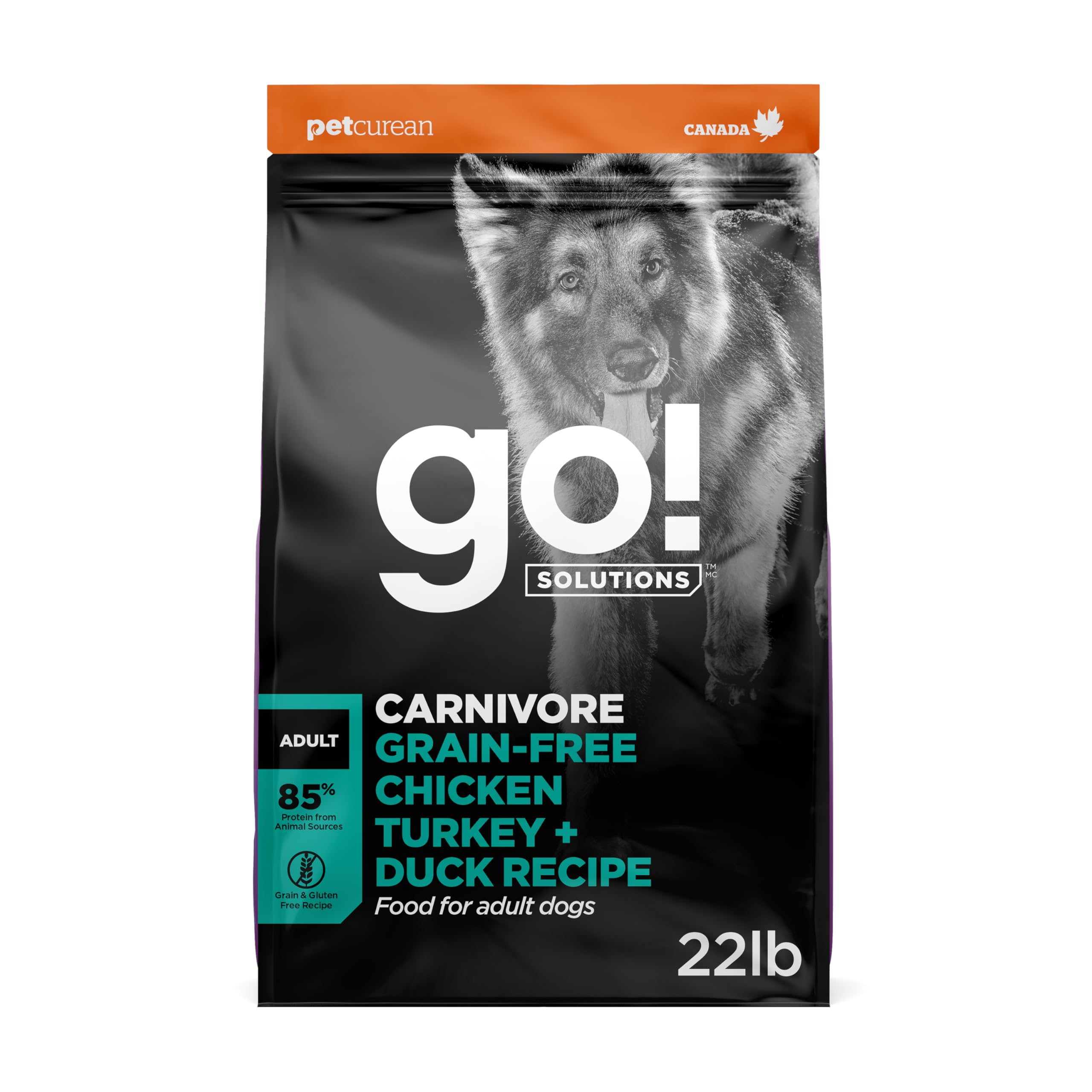 Go! Solutions Carnivore Chicken, Turkey + Duck Grain-Free Dry Adult Dog Food, Our Highest-Protein Kibble Made with Real Meat & Fish, Pumpkin &