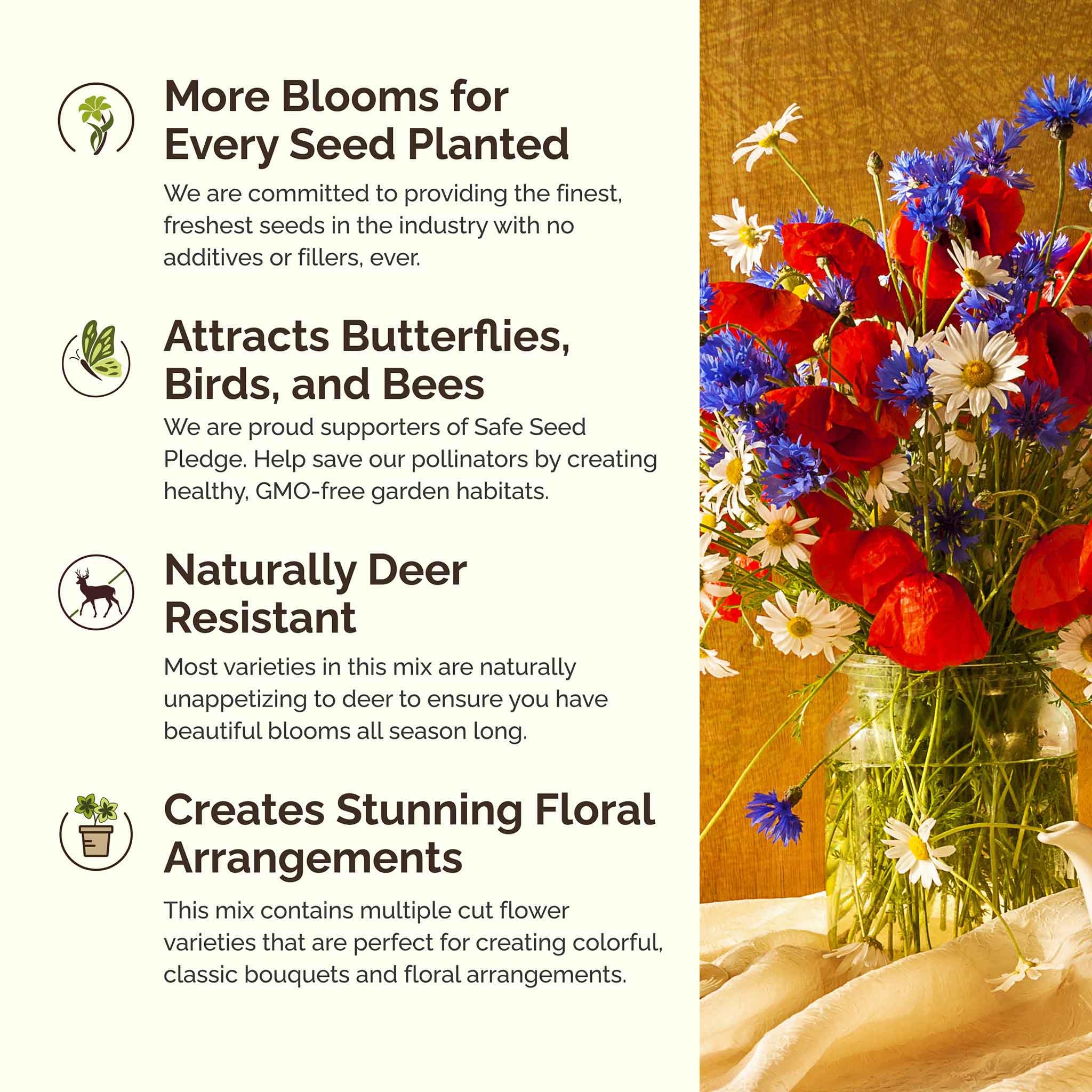 Amazon.com : Eden Brothers Maryland Wildflower Mixed Seeds for Planting, 1  lb, 480,000+ Seeds with Shasta Daisy, Cornflower | Attracts Pollinators,  Plant in Spring or Fall, Zones : Patio, Lawn & Garden