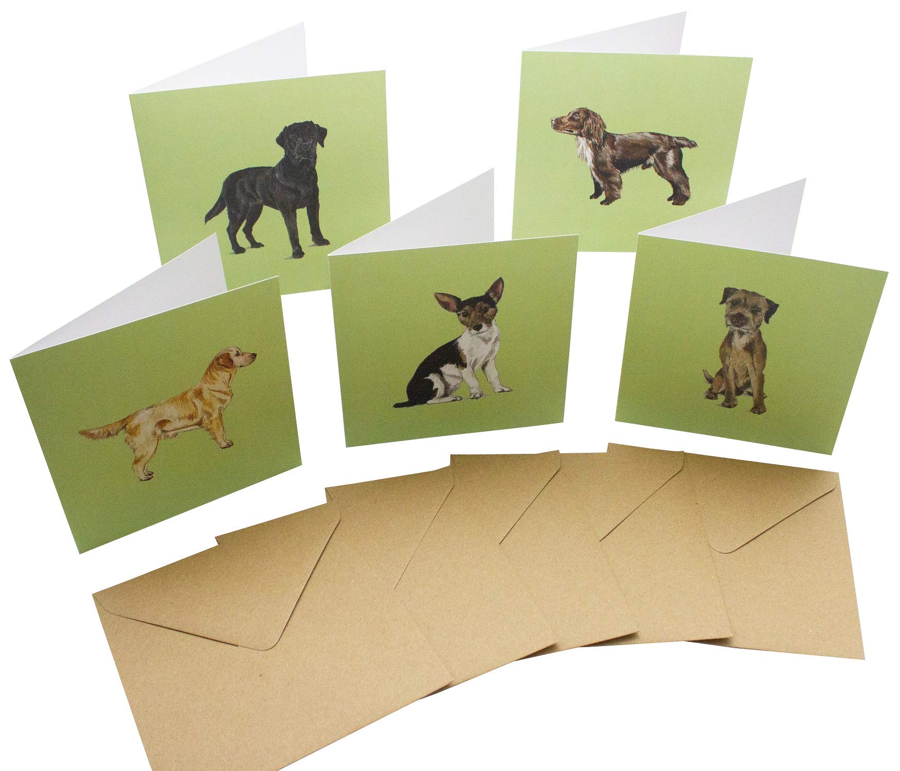Re-wrapped - Sophie Botsford Dog Cards 10 Pack - 10 cards & envelopes - Birthday - 100% Recycled & Recyclable Premium ECO Every Day Greeting Card (blank inside)