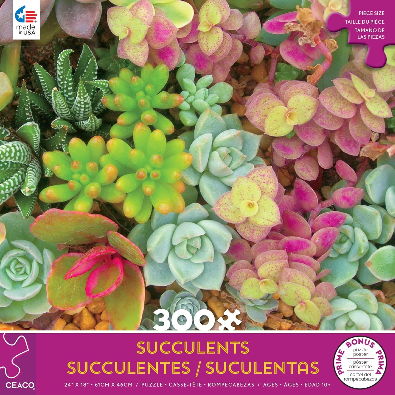 Ceaco - Succulents - Bright Succulents - Oversized 300 Piece Jigsaw Puzzle
