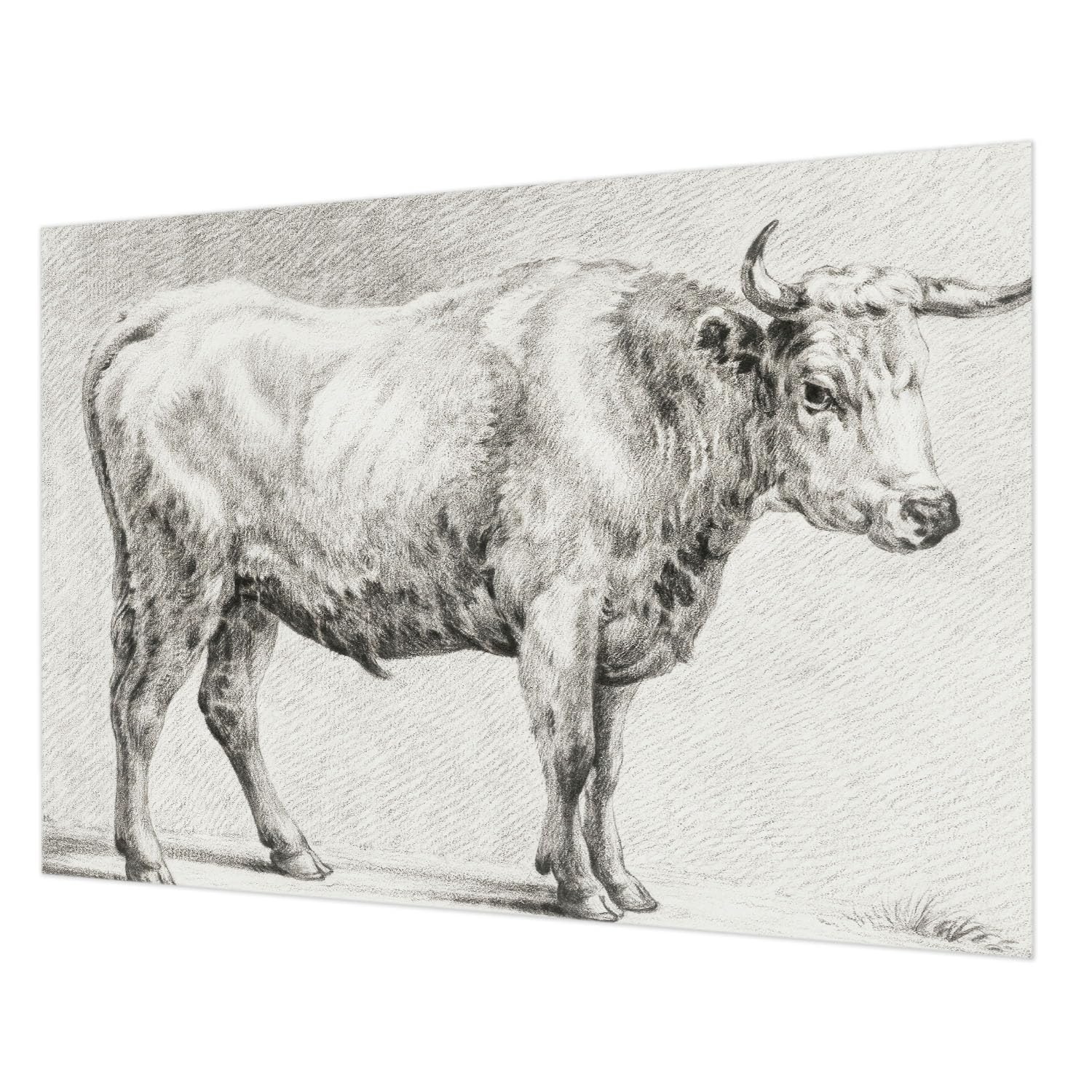 Papier peint mural intissé Crayon Bull pose facile sans table à tapisser