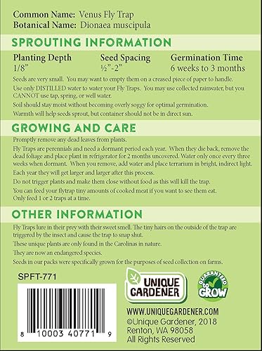 Miniatura 2 de Exotic Venus Flytrap (Dionaea muscipula) Número de Semillas 30 Semillas