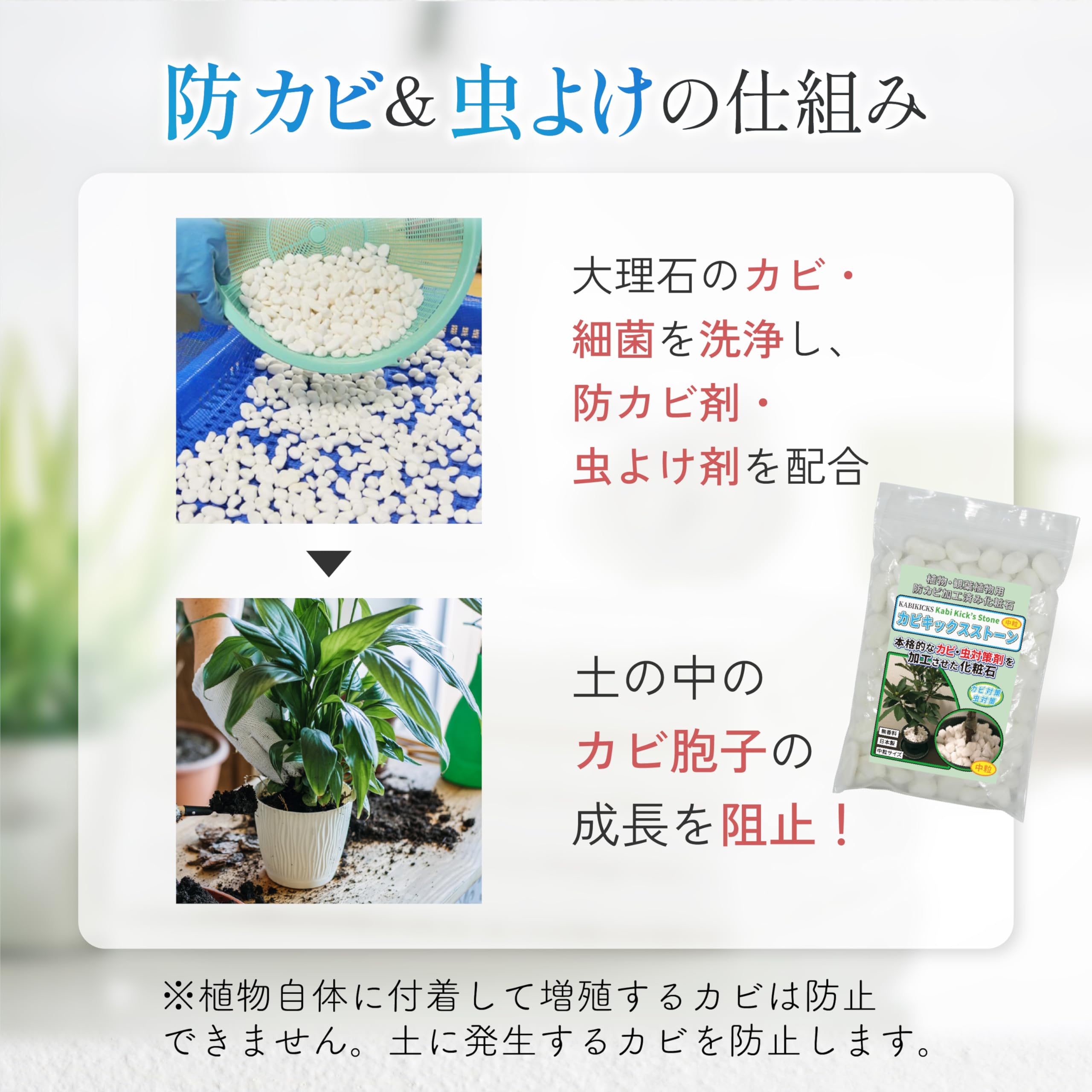 Amazon | 植物 観葉植物用 防カビ剤入り化粧石 カビキックスストーン