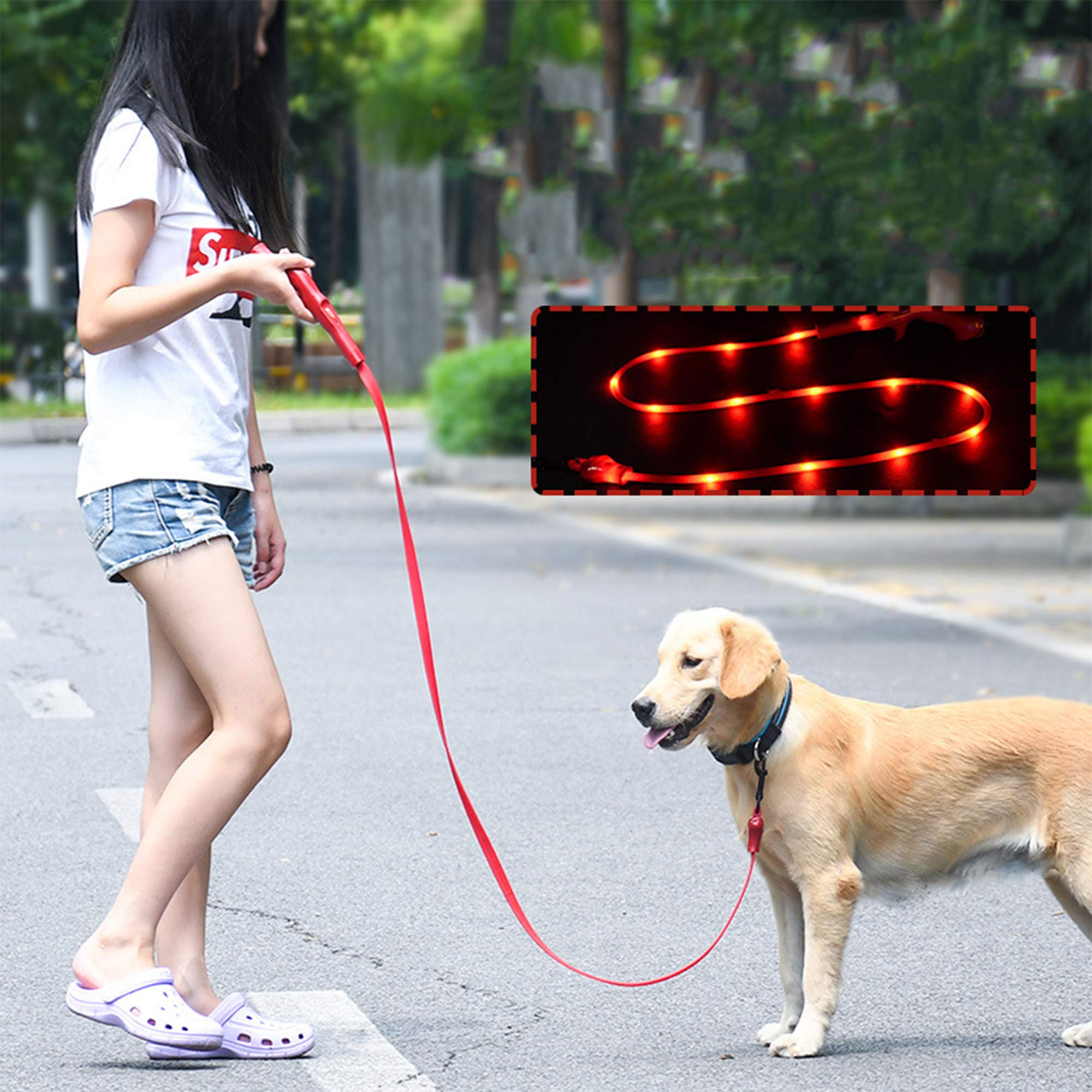 Laisse de Chien LED de Chargement USB Chiens de Petite et Moyenne Taille Pet Supplies Laisse de Marche pour Chien