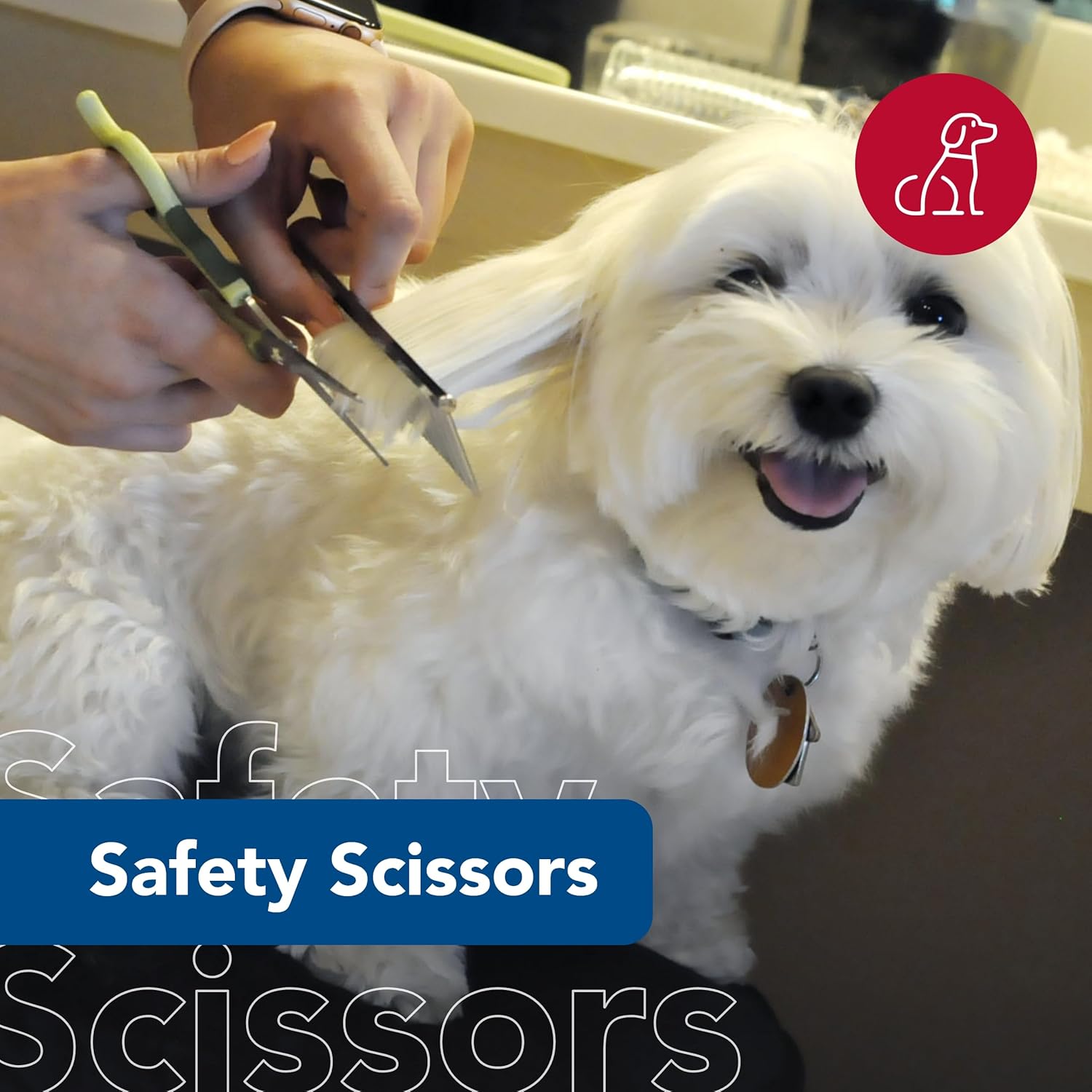 Safari Safety Scissors for Dogs Trimming Hair Around Eyes, Ears & Paws