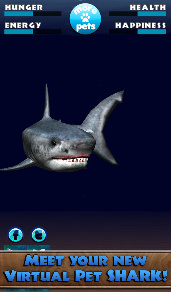 Agave Sharkskin GreatWhiteSharkスペシャル278 AGAVE NICKELIMA GREAT WHITE SHARK | カトーエンゲー東京