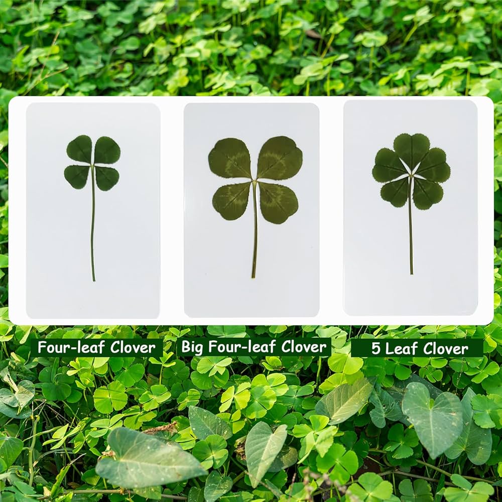 Bonpoint x tillee 四つ葉クローバー オーナメント ブックマーク Bonpoint x tillee 四つ葉クローバー オーナメント ブックマーク