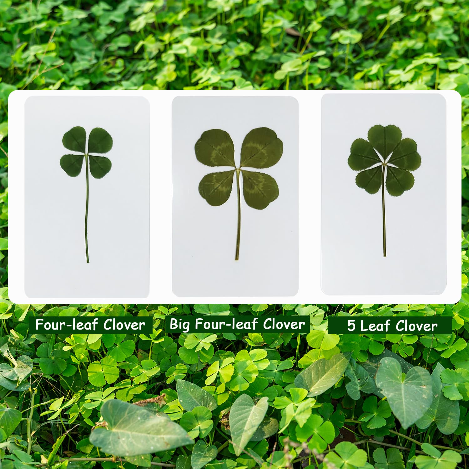clover*‪ஐ様 リクエスト 4点 まとめ商品 I・E・I SELECTION 幸せのうさぎと四つ葉のクローバー金貨 純金