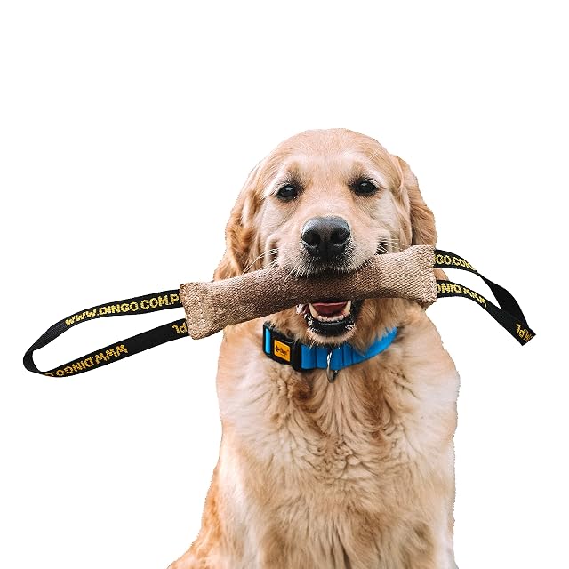 Dingo Juguete de Tira de Yute Resistente con 2 Asas para Entrenamiento de Perros, Trabajo de Mordida