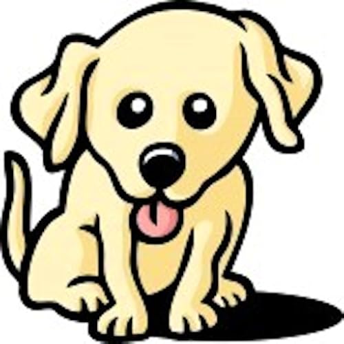 Ladrador Retriever Training