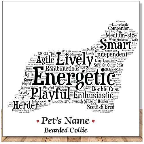 Bearded Collie Personalize Dog Wall Art Print  Home Decor Gift Wrapped  Custom Name  Pet Loss Memorial Present for Owners  USA Handmade