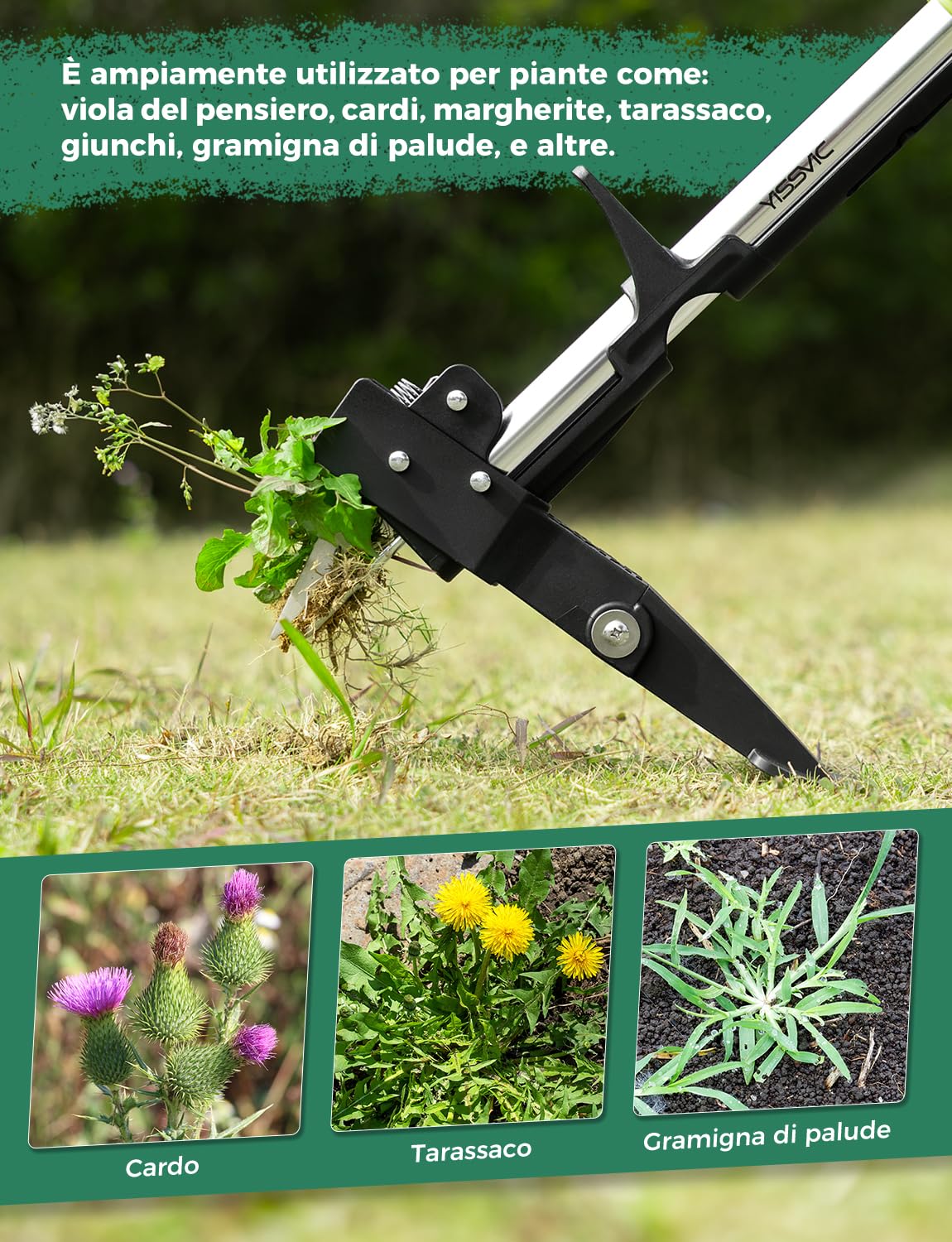 YISSVIC Estirpatore Erbacce Manuale a 4 Artigli in Acciaio Inossidabile con Pedale, Estrattore Radici Telescópico, 110-120 cm, Impugnatura Antiscivolo Regolabile a D, per Giardino