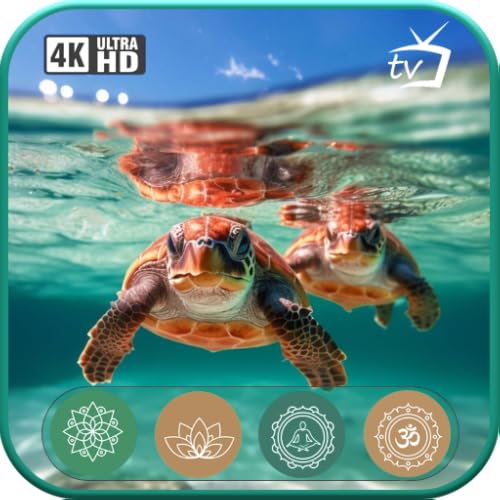 Bonheur tranquille de l'Océan-Majestueuses Tortues de Mer et Harmonie des récifs Coralliens - L'Expérience de Détente Ultime pour les Tablettes et la télévision